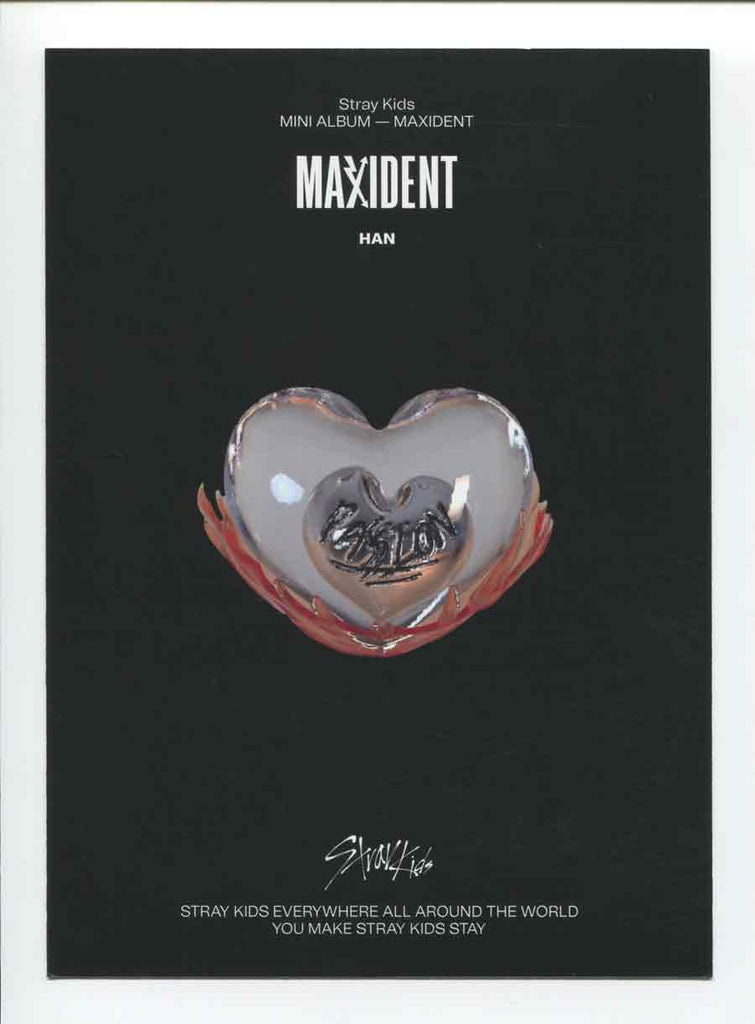 STRAY KIDS - MAXIDENT Album OFFICIAL Mini Poster – KPOP MARKET [Hanteo &  Gaon Chart Family Store]